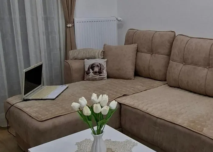 Tri Kralja 4 * Banja Koviljača